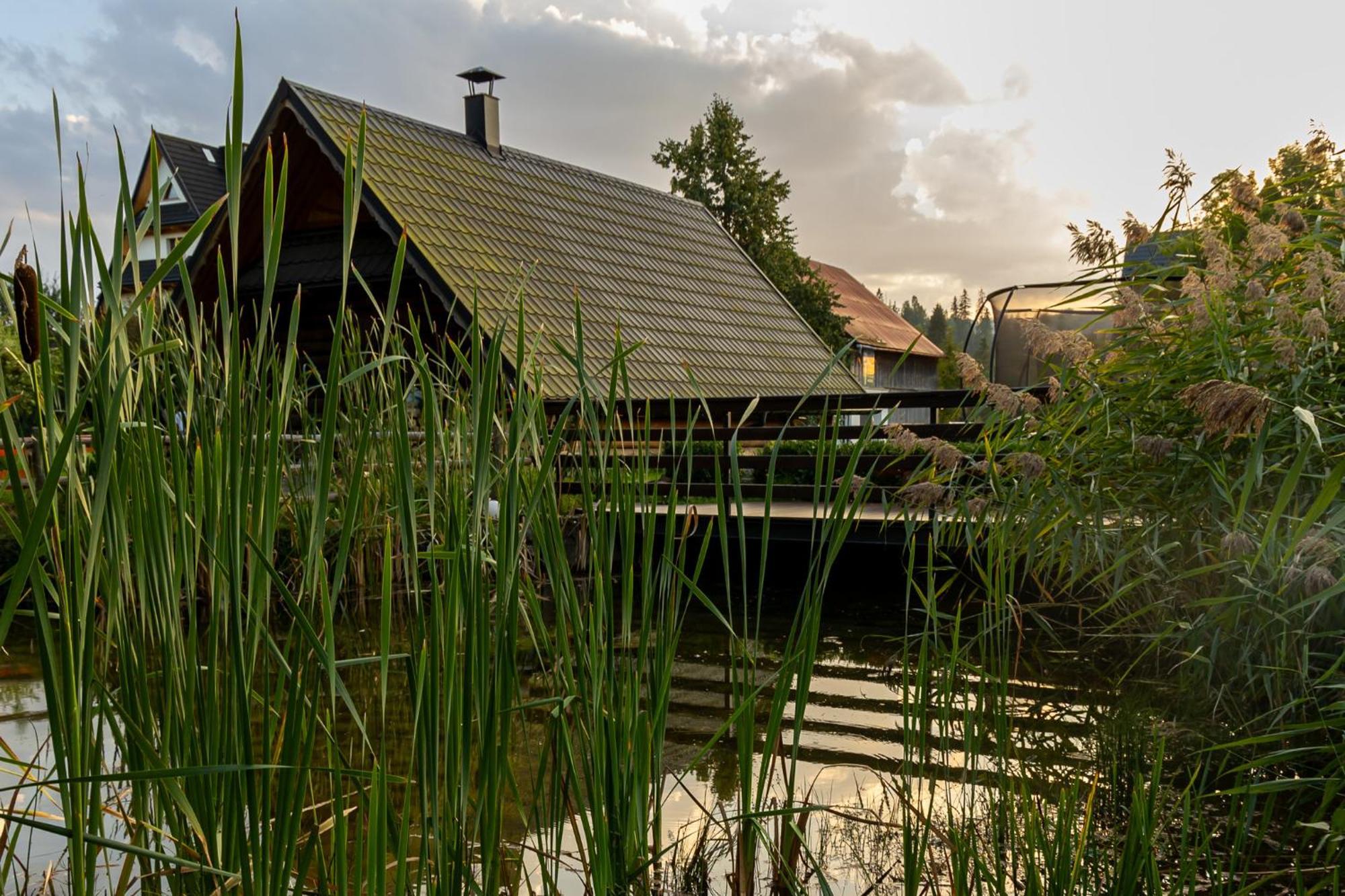 Willa Pod Kozincem Czarna Góra Buitenkant foto